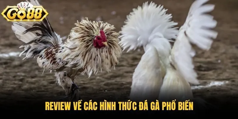 Go88 hướng về người chơi