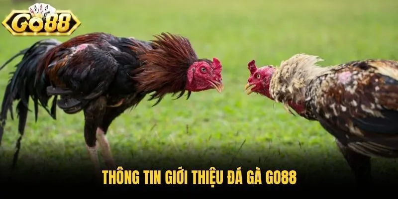 Nhiều cách giao dịch tại Go88